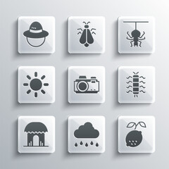 Wall Mural - Set Cloud with rain, Lemon, Centipede insect, Photo camera, African hut, Sun, Camping hat and Spider icon. Vector