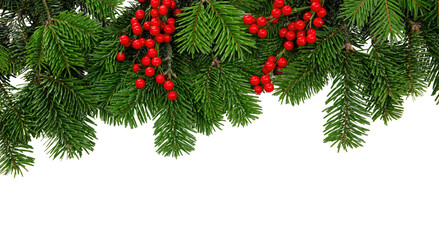 Wall Mural - Christmas tree border and red berries decoration isolated on white transparent, PNG. 
