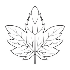 Wall Mural - Contour drawing of a maple leaf. Autumn leaf
