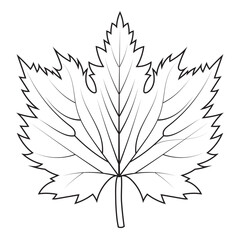 Wall Mural - Contour drawing of a maple leaf. Autumn leaf