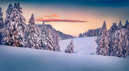 Wall Mural - Untouched winter landscape. Calm sunrise in Alpe di Siusi village. Snowy outdoor scene of Dolomite Alps, Ityaly, Europe. Beauty of nature concept background.