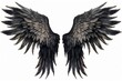 A pair of wings, like from a bird or angel, in a neat grunge artistic illustration style. Generative AI.
