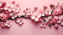 Pink Cherry Blossom In Spring