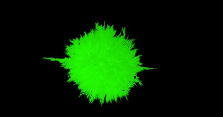 Wall Mural - abstract paint brush stroke shape white ink splattering flowing and washing on chroma key green scre