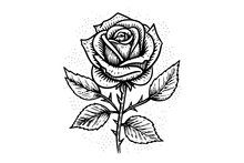 Elegant Rose. Vintage Simple Line Art. Hand Drawn Ink Sketch. Engraving Vector Illustration