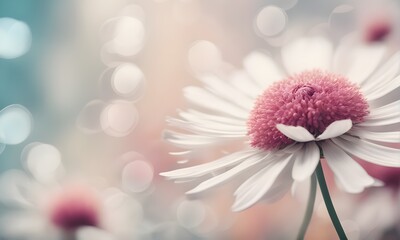 Aufkleber - Abstract flowers nature beauty blurred backdrop
