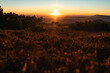 Beautiful nature landscape during sunset, sunrise, Europe, Czech Republic, mountains, hills, Krkonose, wide landcape