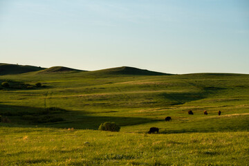 Wall Mural - North Dakota 3