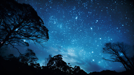 Wall Mural - clear starry sky at night. beautiful night sky, milky way and trees.