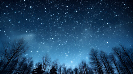 Wall Mural - clear starry sky at night. beautiful night sky, milky way and trees.