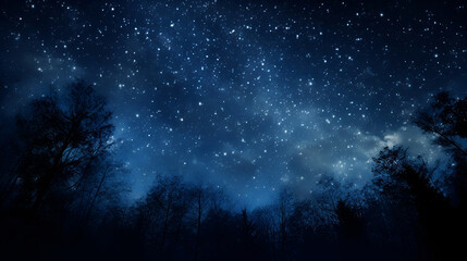 Wall Mural - clear starry sky at night. beautiful night sky, milky way and trees.