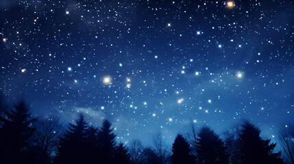 Wall Mural - clear starry sky at night. beautiful night sky, milky way and trees.