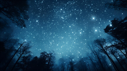 Wall Mural - clear starry sky at night. beautiful night sky, milky way and trees..