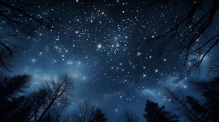 Wall Mural - clear starry sky at night. beautiful night sky, milky way and trees..