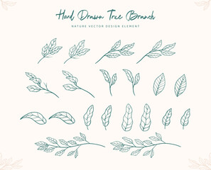 Poster - hand drawn tree leaf and branch outline vector graphic element decoration
