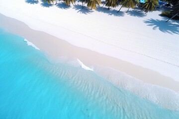 Wall Mural - Drone-view of a white sand beach with clear blue water