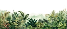 Amazon Forest Animal Illustration On Wallpaper