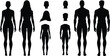 © GalibGFX - silhouette Human Body Male and female with and without hair Vector