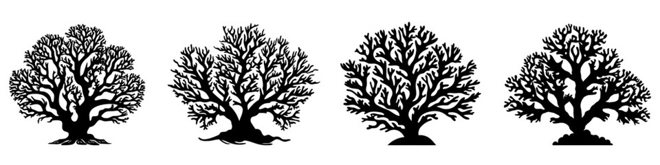 Wall Mural - coral silhouettes. coral black icons set. isolated coral logo.