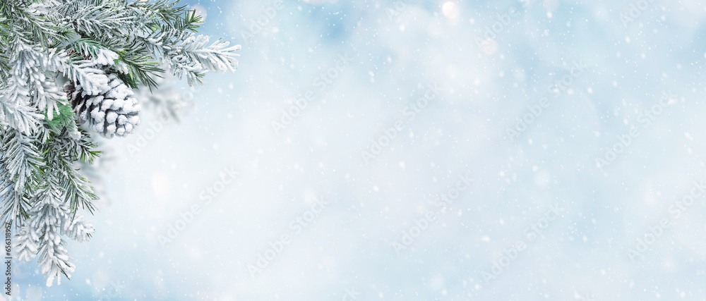 Beautiful Winter Landscape with snovy Fir Tree Branches and Cones in ...