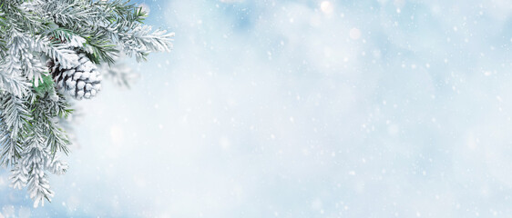 Wall Mural - beautiful winter landscape with snovy fir tree branches and cones in snowy forest. christmas and new