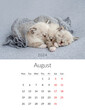© tan4ikk - August 2024 Photo calendar with cute cats. Annual daily planner template with feline kitty animals. The week starts on Monday