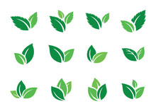 Leaf Icon, Green Leaves Set