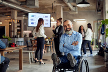 Portrait of happy bearded businessman with disability on wheelchair at office