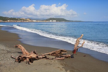 Wall Mural - Driftwood in Baracoa, Cuba