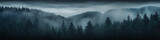 Fototapeta Fototapety z naturą - a long narrow panorama of a coniferous northern forest in the fog of an autumn day, a landscape of wildlife