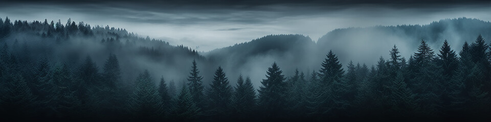 Wall Mural - a long narrow panorama of a coniferous northern forest in the fog of an autumn day, a landscape of wildlife