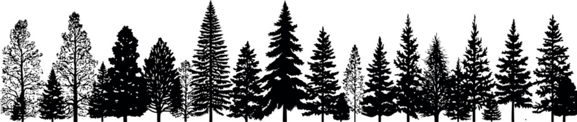 Poster - A set of coniferous spruce fir trees silhouettes, arranged horizontally on a transparent background. Generative AI 