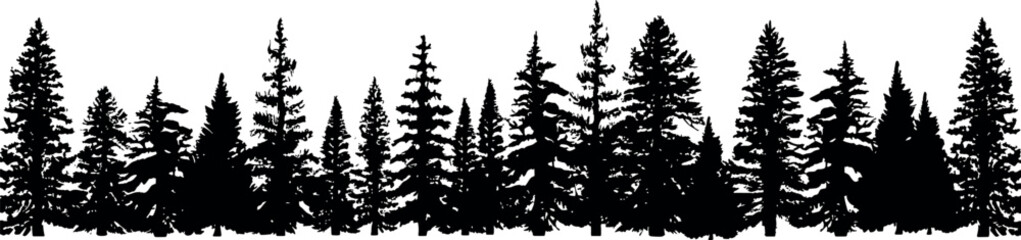 Poster - Horizontal set of coniferous spruce trees silhouettes, elegantly capturing the essence of fir trees on a transparent background. Generative AI 
