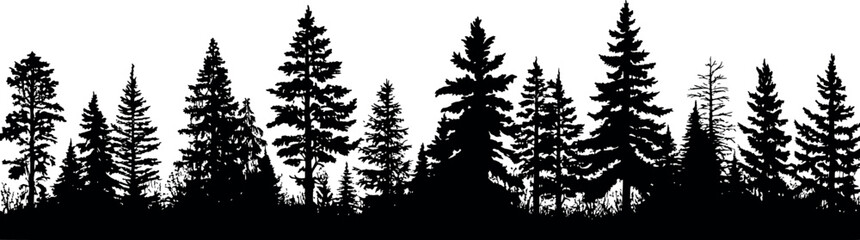 Poster - Set of horizontal silhouettes of coniferous fir trees on a transparent background. Generative AI 