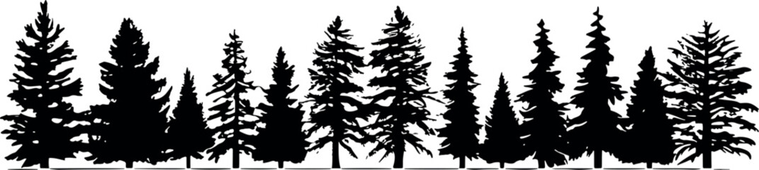Poster - Coniferous spruce trees stand tall on a transparent background, forming a serene and elegant silhouette against the horizon. Generative AI 