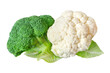Brokkoli und Blumenkohl Hintergrund transparent PNG cut out Broccoli Cauliflower