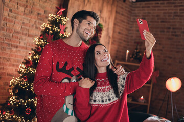 Poster - Photo of smiling young two people recording video selfie their comfortable atmosphere new year garland xmas tree isolated at home background