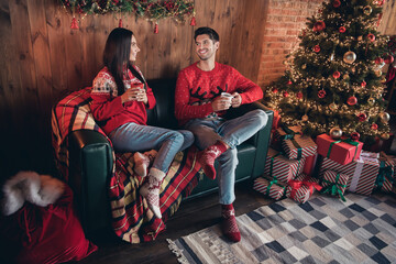 Poster - Full length body photo greeting card of two young lovers hold cup tasty eggnog having fun together indoors shopping for house xmas decor