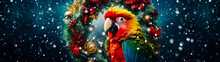 A Charming Image Of A Parrot Perched On A Colorful Christmas Wreath As Snow Gently Falls In The Background.