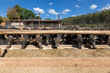 Water buffalo or domestic water buffalo (Bubalus bubalis) in corral eating feed on dairy farm. Raising black buffalo cattle in Minas Gerais, Brazil