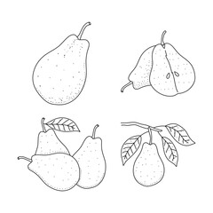 Wall Mural - Pears in sketch freehand style collection. Hand drawn doodle pears isolated on white background