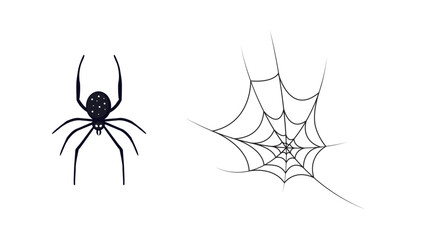 A spider and a spider web vector illustration 