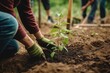  Junge Menschen im Ökotourismus helfen freiwillig bei der Aufforstung. Freiwilligenarbeit beim Bäume pflanzen. Keimling in die Erde setzen. Konzept Renaturierung: Welt retten für eine grüne Erde.