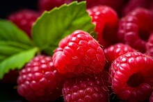 Close-up View Of Vibrant, Luscious Organic Red Raspberry Berries Garnished With Leaves, Representing A Wholesome Food Idea. Generative AI