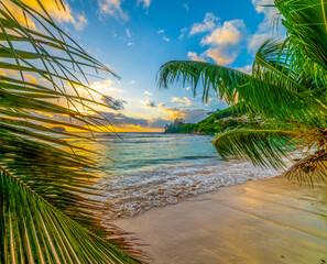 Palm trees by the sea at sunset in Baie Lazare beach