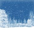Landscape. Frozen winter forest with snow covered trees.