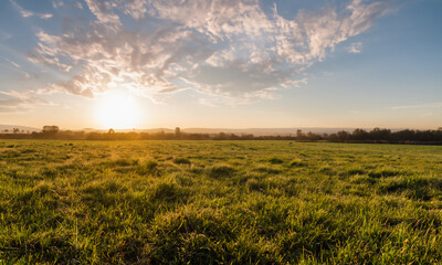 Canvas Print - Golden Horizons: A Rural Landscape