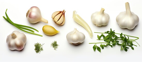 Sticker - White background with garlic and herbs viewed from above with copyspace for text