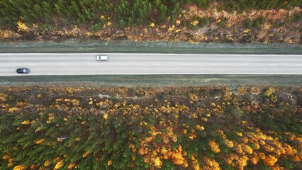 Wall Mural - Road with yellow trees in the autumn mountains at sunset. Aerial top down view. Cars driving on the asphalt road. Beautiful autumn landscape.
