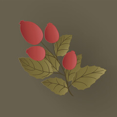 Wall Mural - Vector autumn paper cut 3d rose hips branch with shadow on green background. Fall cut out design elements for presentation, banner, cover, web, flyer, card, sale, poster, slide and social media